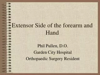 Extensor Side of the forearm and Hand
