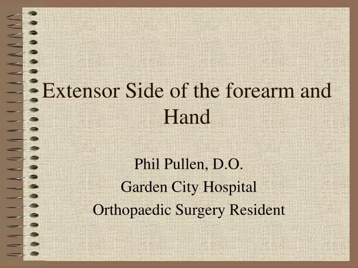 extensor side of the forearm and hand