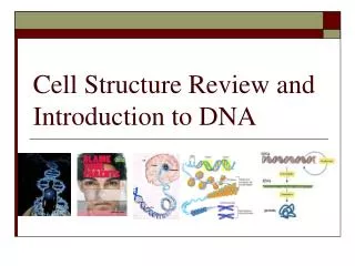 Cell Structure Review and Introduction to DNA