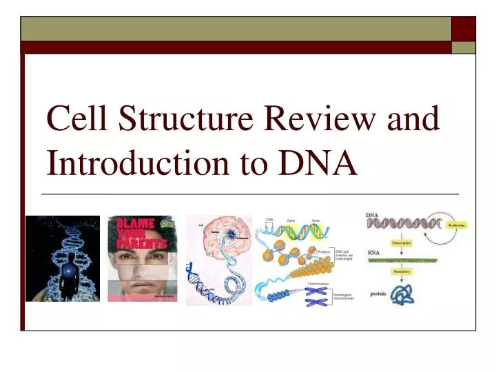 cell structure review and introduction to dna