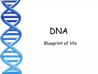 DNA