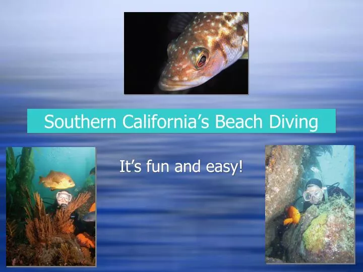 southern california s beach diving
