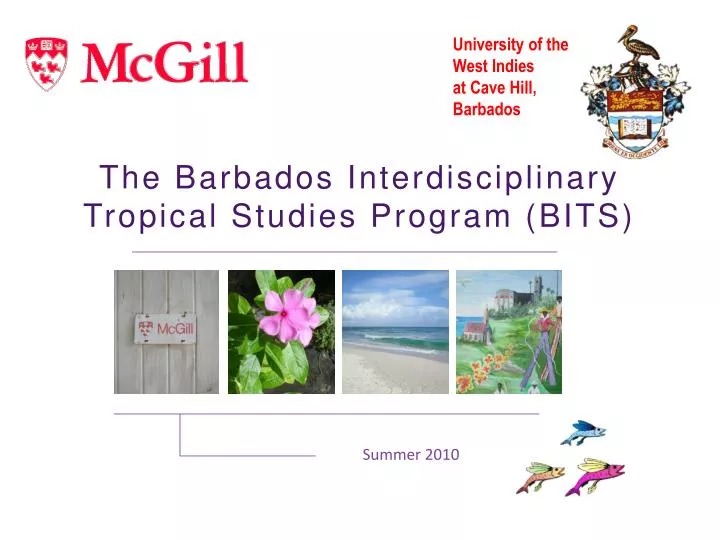 the barbados interdisciplinary tropical studies program bits