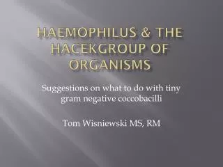 Haemophilus &amp; the HACEKGroup of Organisms