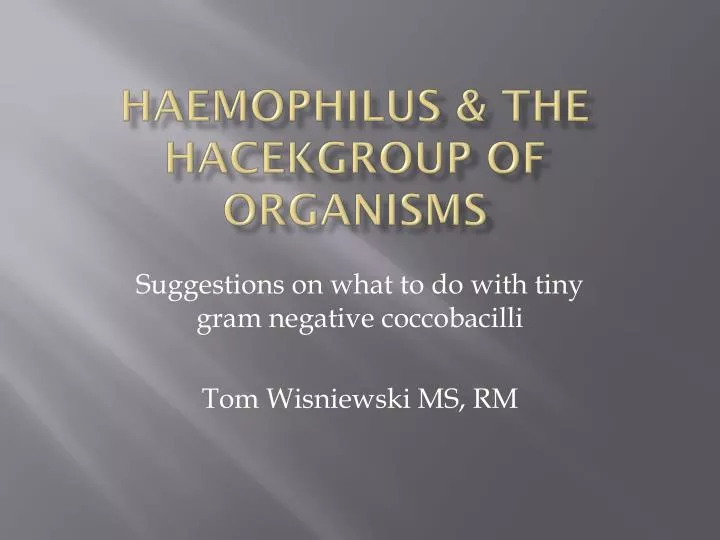 haemophilus the hacekgroup of organisms