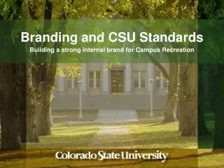 Branding and CSU Standards