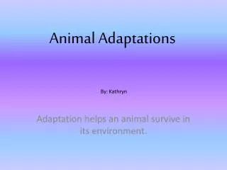 Animal Adaptations