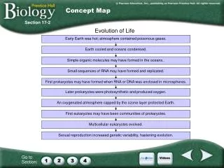 Concept Map