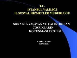 t c stanbul val l l sosyal h zmetler m d rl