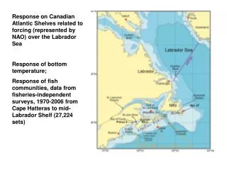 Central Labrador Sea