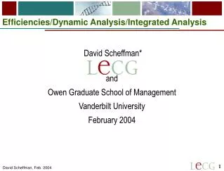 Efficiencies/Dynamic Analysis/Integrated Analysis