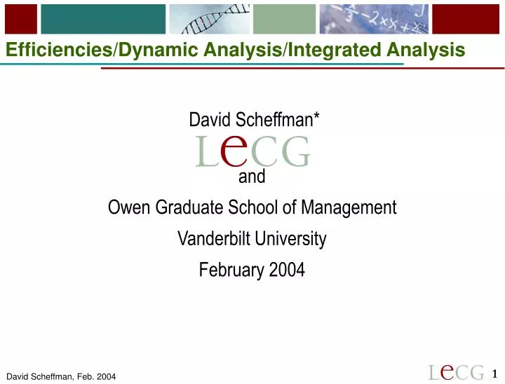 efficiencies dynamic analysis integrated analysis