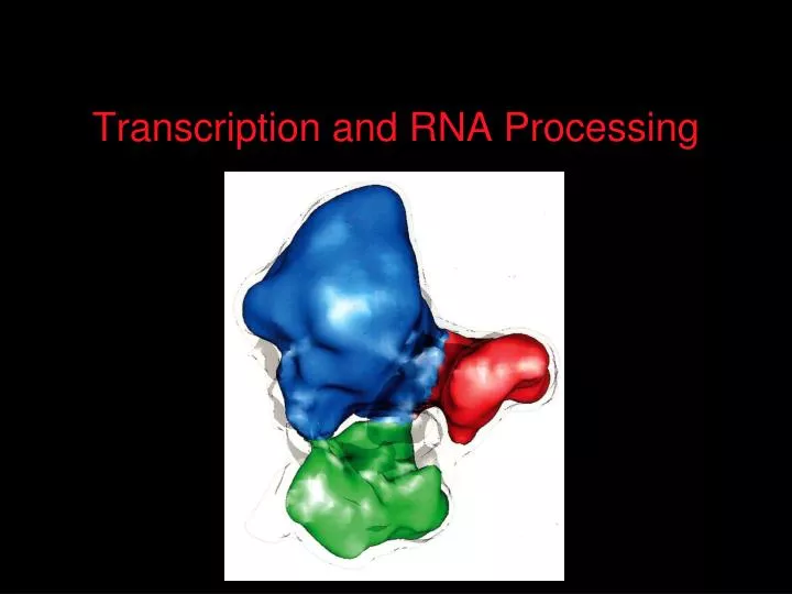 transcription and rna processing