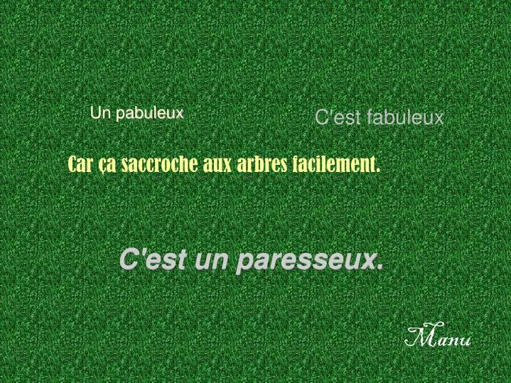 c est un paresseux