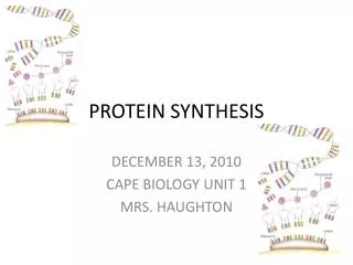 protein synthesis