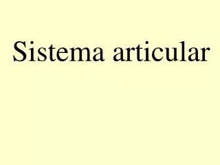 sistema articular