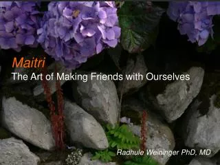 Maitri The Art of Making Friends with Ourselves