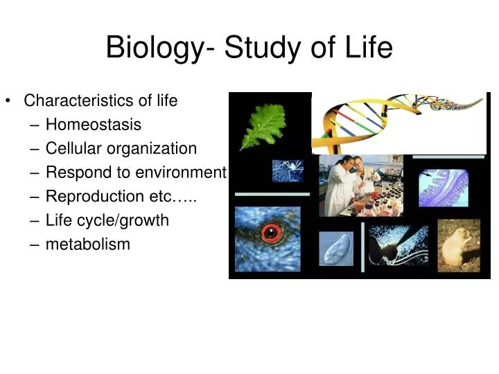 biology study of life