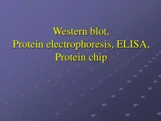 Western blot, Protein electrophoresis, ELISA, Protein chip