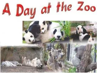 They are going to the zoo .