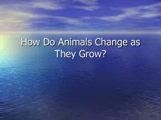 How Do Animals Change as They Grow?