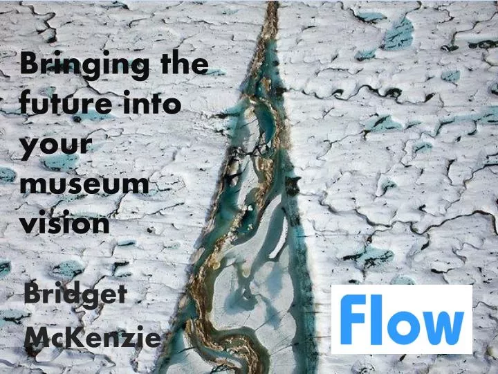 bringing the future into your museum vision