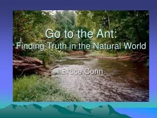 Go to the Ant: Finding Truth in the Natural World