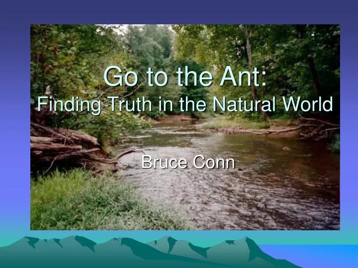 go to the ant finding truth in the natural world