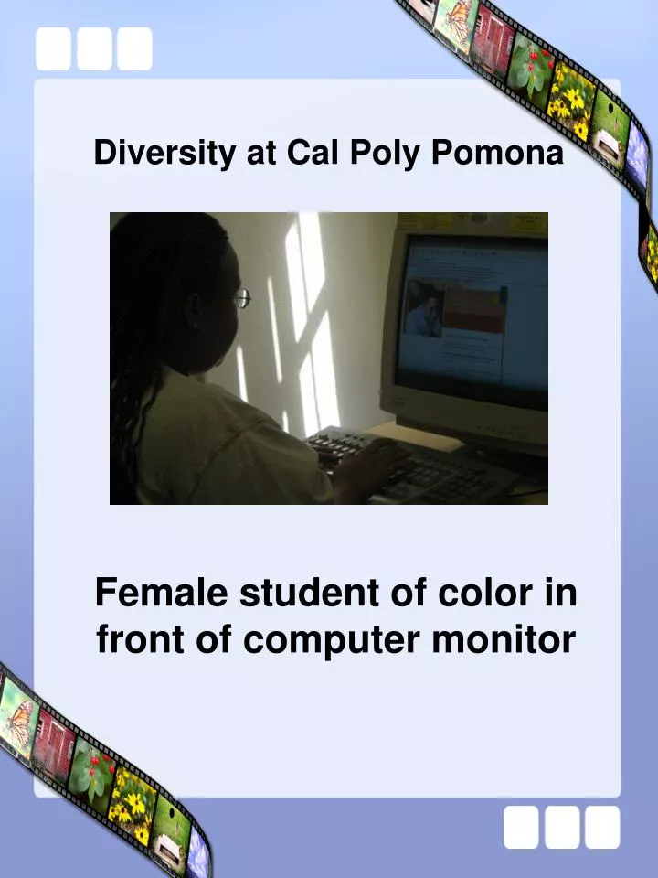 diversity at cal poly pomona