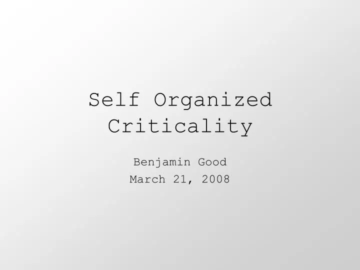 self organized criticality