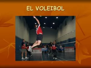 el voleibol