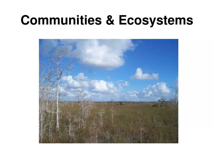 communities ecosystems