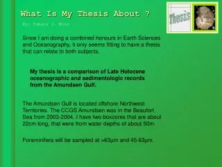 What Is My Thesis About ?
