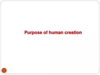 Purpose of human creation