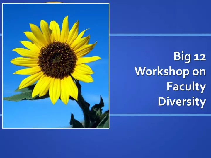 big 12 workshop on faculty diversity