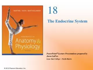 18 The Endocrine System
