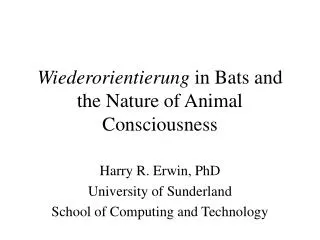 Wiederorientierung in Bats and the Nature of Animal Consciousness