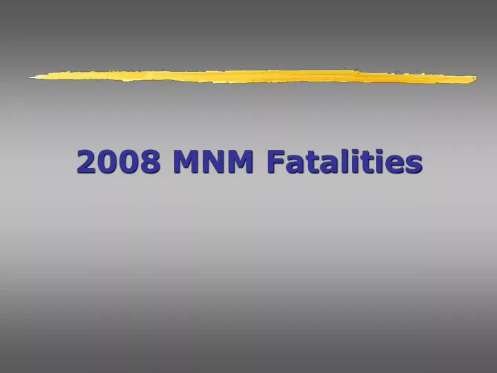 2008 mnm fatalities