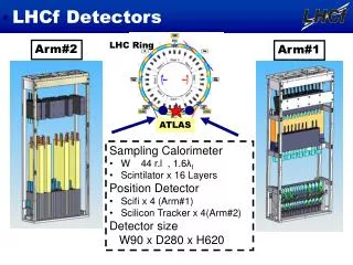 LHCf Detectors