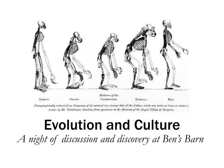 evolution and culture