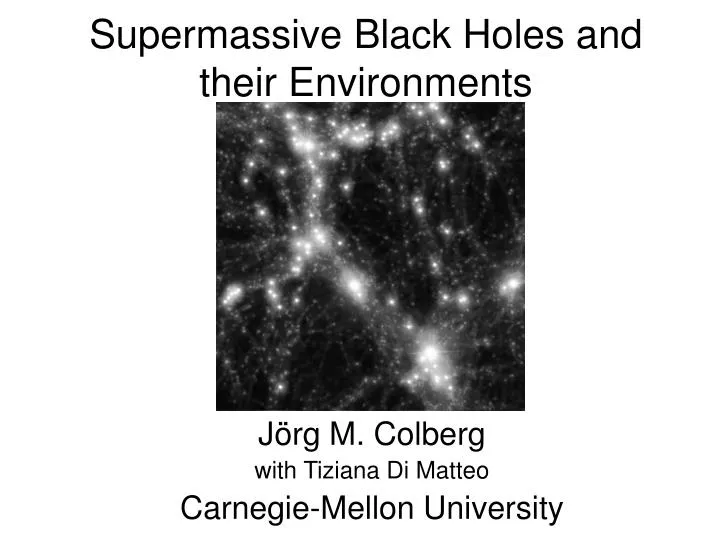 supermassive black holes and their environments