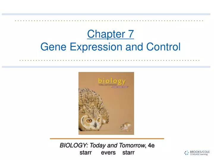 chapter 7 gene expression and control