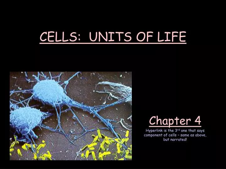 cells units of life