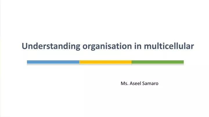 understanding organisation in multicellular