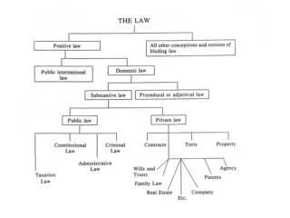 THE LAW OF OBLIGATIONS Based on consent;			Created by general law;
