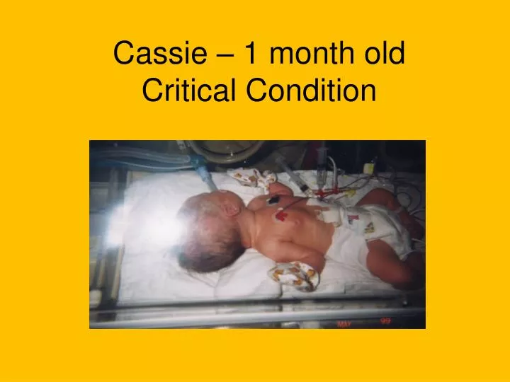 cassie 1 month old critical condition