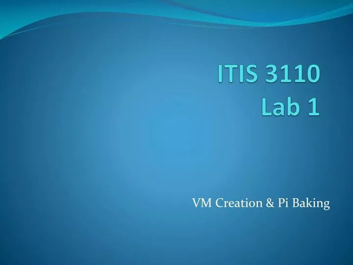 itis 3110 lab 1