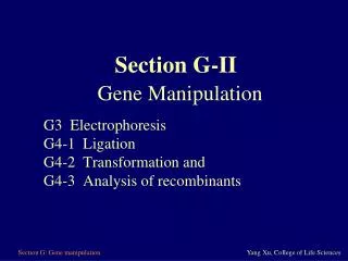 Separation: Agarose gel electrophoresis-I