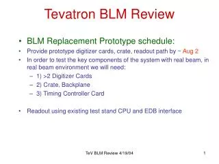 Tevatron BLM Review