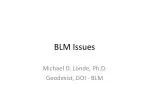 BLM Issues - slide 1